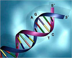 áreas de la biotecnología y farmacéutica